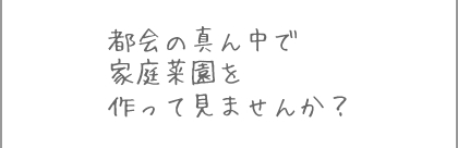 都会の真ん中で家庭菜園を作って見ませんか?